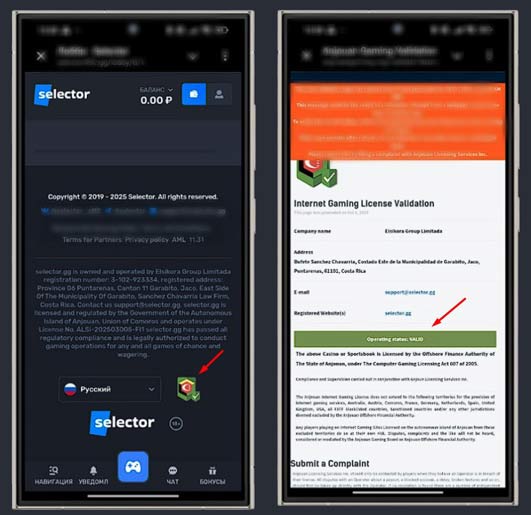 Лицензия Selector Casino